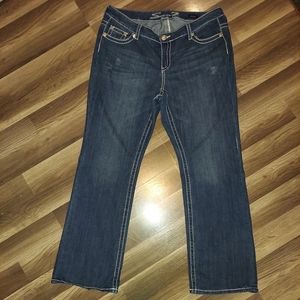 Women's plus size Seven7 jeans
